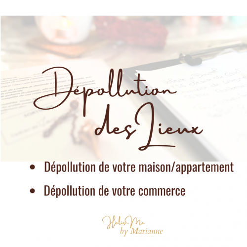 De pollution des lieux page de pre sentation holis me